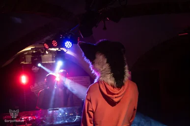bunkerbeats2-10-standard.webp