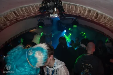 bunkerbeats2-40-standard.webp