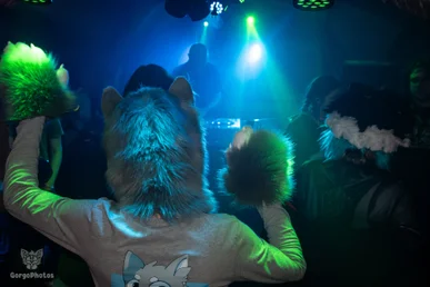 bunkerbeats2-42-standard.webp