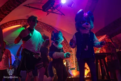 bunkerbeats2024-45-standard.webp