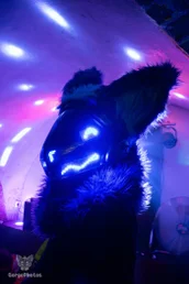 bunkerbeats2024-79-standard.webp
