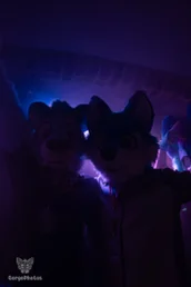 bunkerbeats2024-85-standard.webp