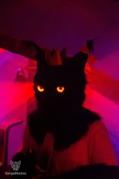 bunkerbeats2024-88-standard.webp