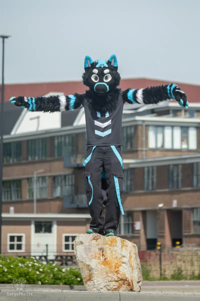 cch2026_shertogenbosch-86-standard.webp