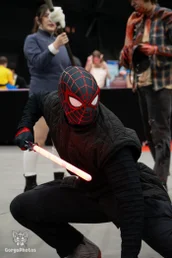 comicconholland2024-150-standard.webp