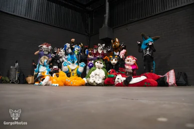 comicconholland2024-190-standard.webp