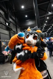 comicconholland2024-199-standard.webp