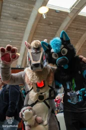 comicconholland2024-33-standard.webp