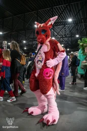 comicconholland2024-39-standard.webp