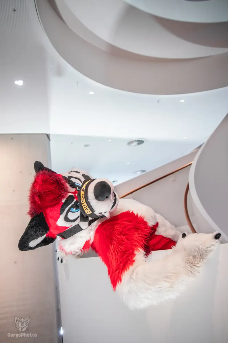 ef30_adreasphotoshoot-30-standard.webp