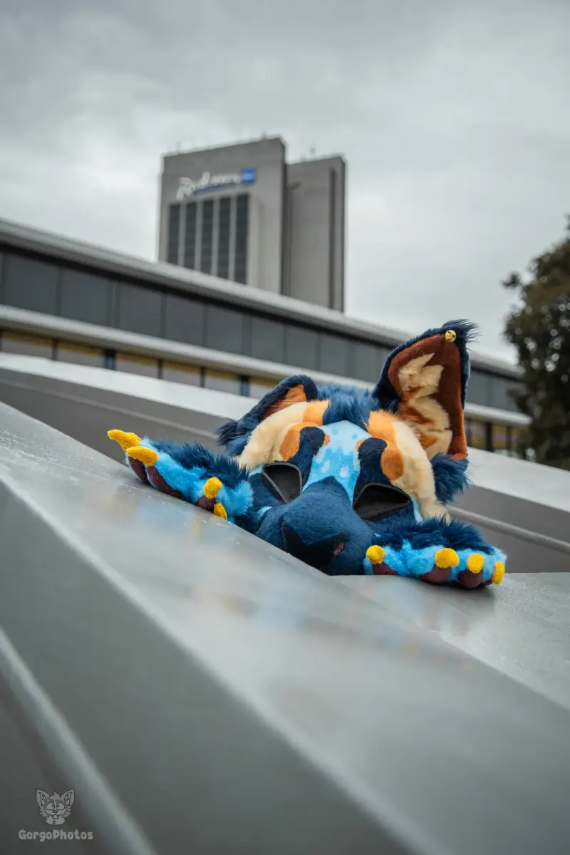 ef30_dutjephotoshoot-11-standard.webp