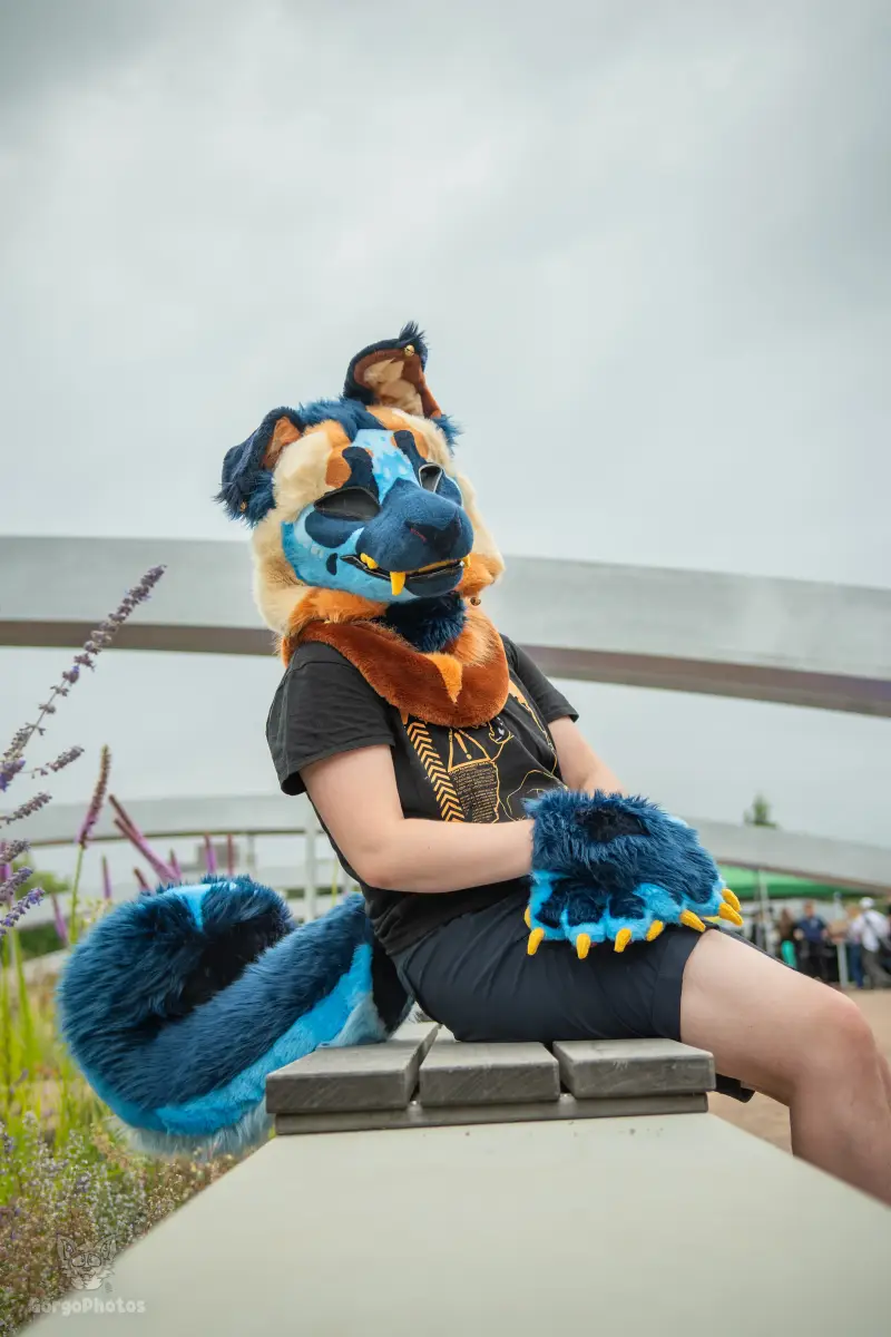 ef30_dutjephotoshoot-20-standard.webp