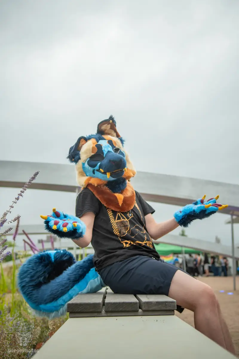 ef30_dutjephotoshoot-21-standard.webp