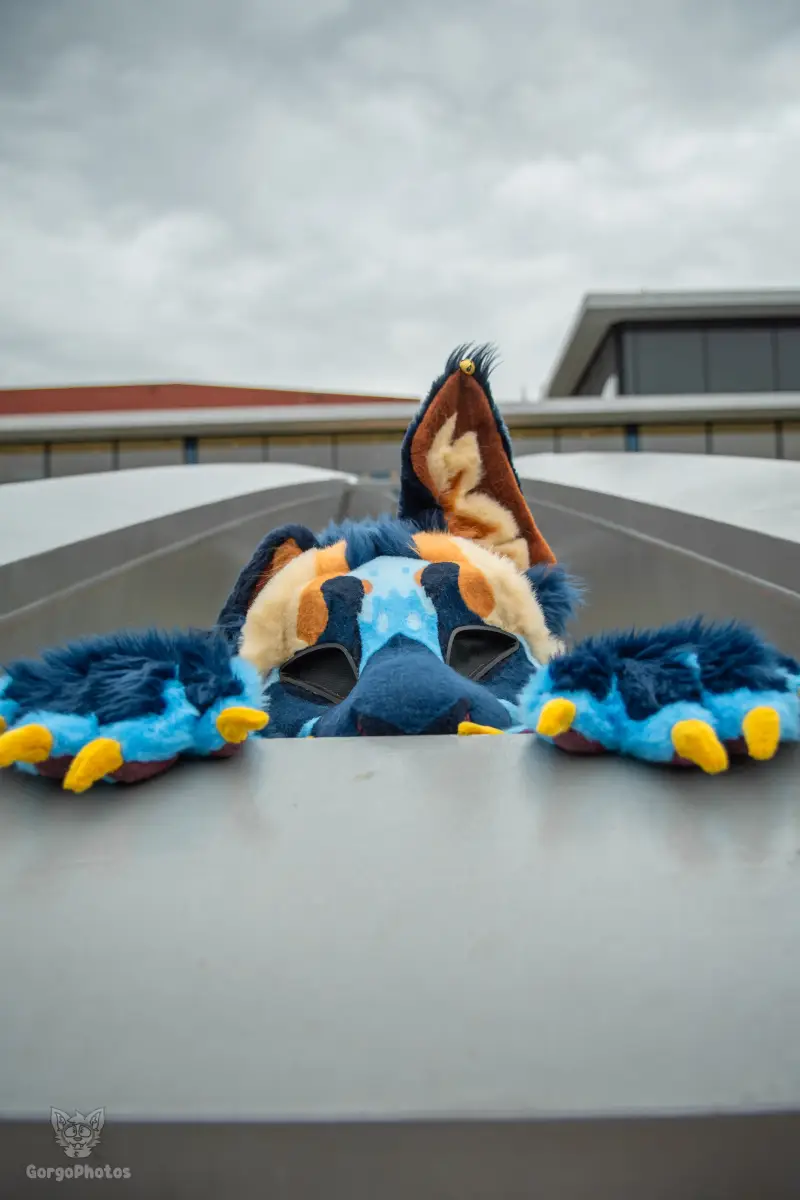 ef30_dutjephotoshoot-8-standard.webp