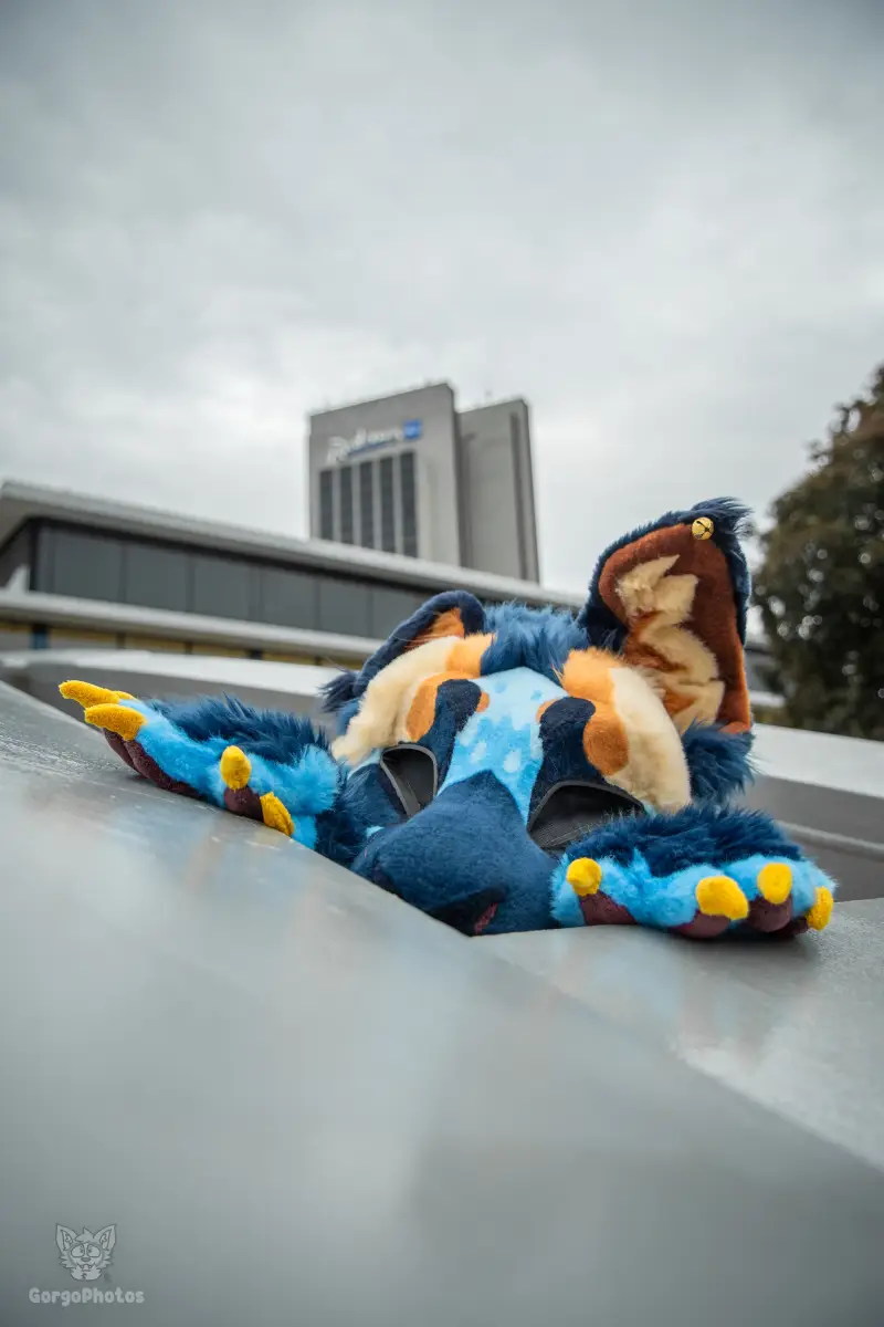ef30_dutjephotoshoot-9-standard.webp