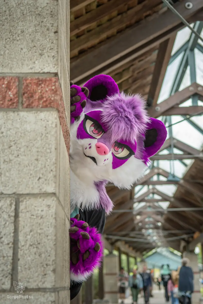 ef30_luci-contraphotoshoot-37-standard.webp