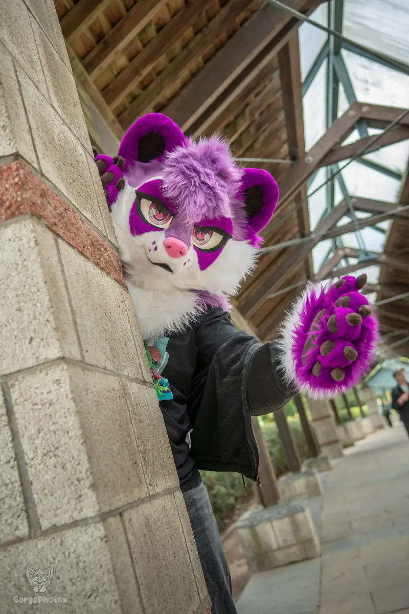 ef30_luci-contraphotoshoot-39-standard.webp