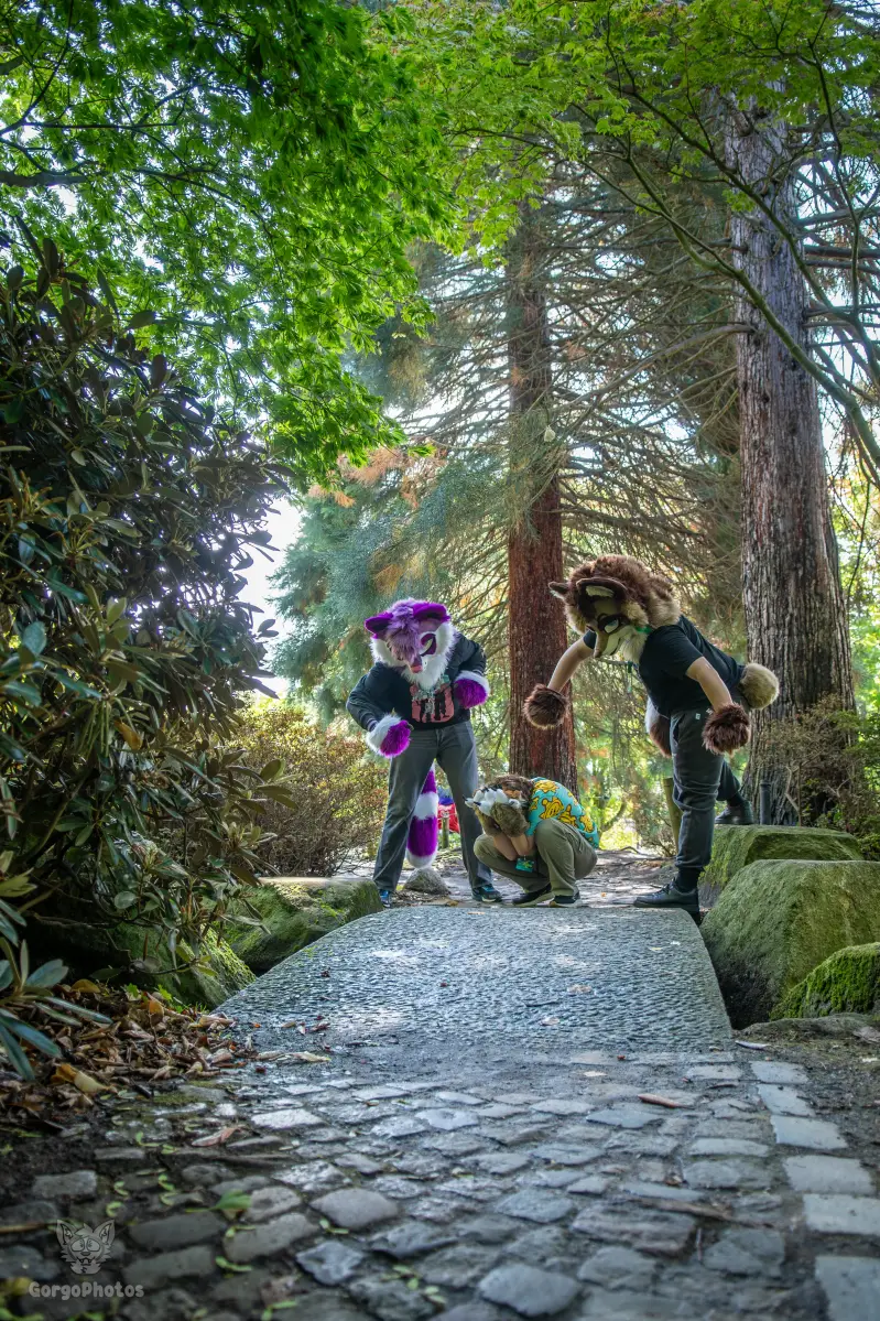 ef30_luci-contraphotoshoot-61-standard.webp