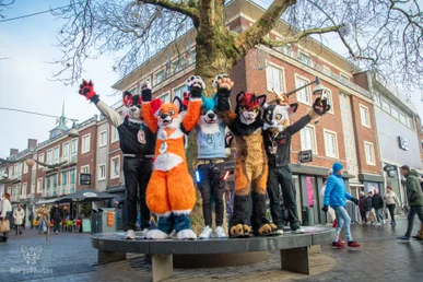 enschedefurwalk2024-29-standard.webp