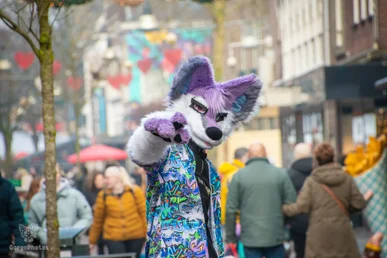 enschedefurwalk2024-38-standard.webp