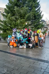 enschedefurwalk2024-85-standard.webp