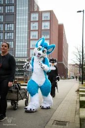 enschedefurwalk_march2025-157-standard.webp