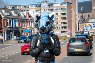 enschedefurwalk_march2025-19-standard.webp