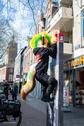 enschedefurwalk_march2025-46-standard.webp