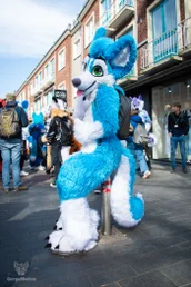 enschedefurwalk_march2025-81-standard.webp