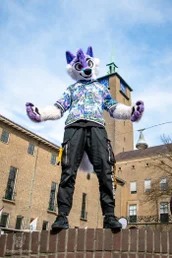 enschedefurwalk_march2025-86-standard.webp