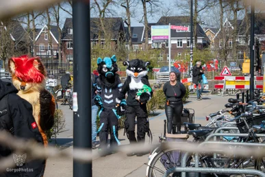 enschedefurwalk_march2025-9-standard.webp