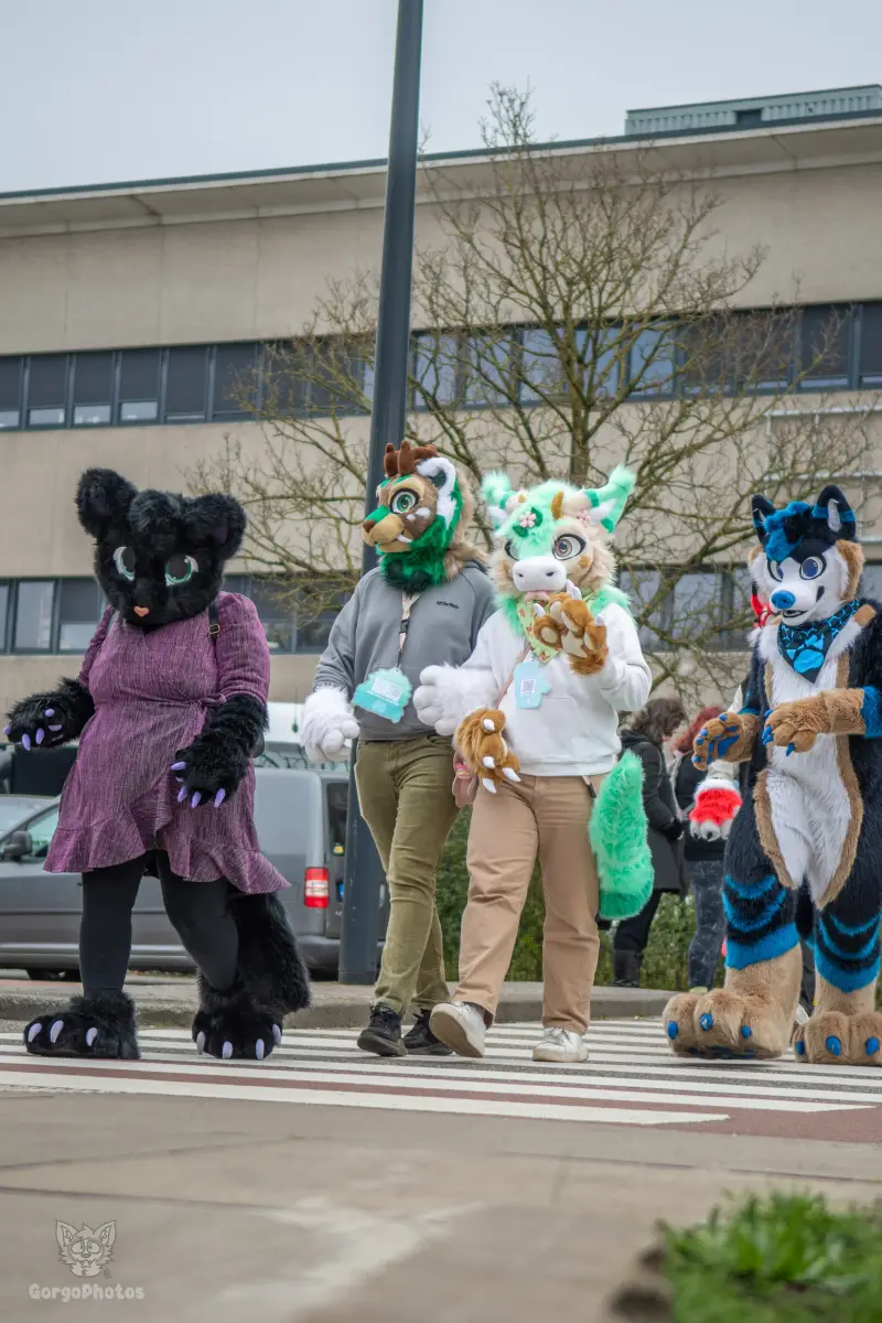enschedefurwalk_march2026-35-standard.webp