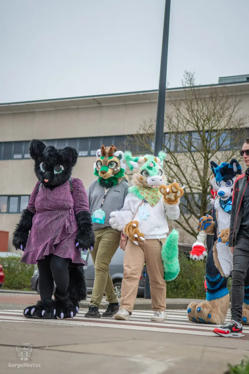 enschedefurwalk_march2026-36-standard.webp