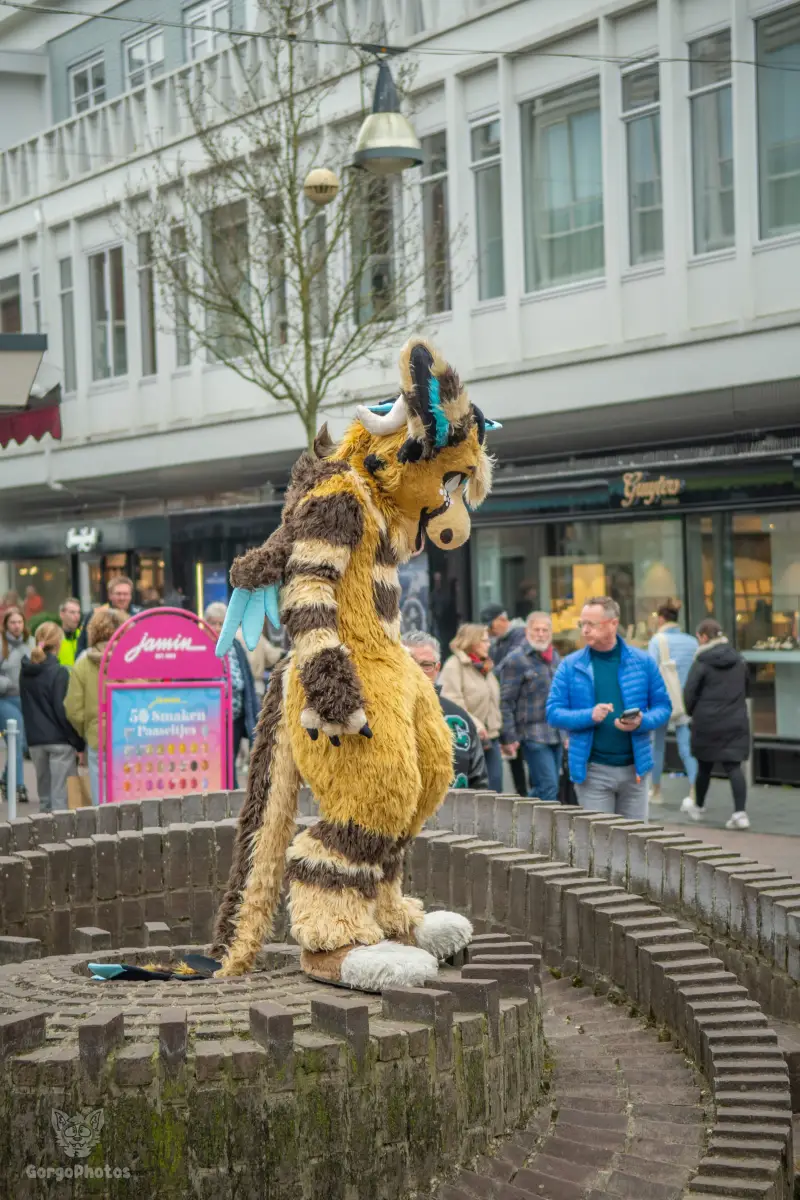 enschedefurwalk_march2026-79-standard.webp
