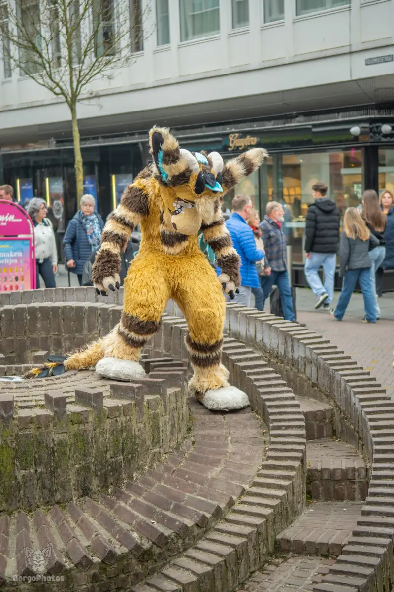 enschedefurwalk_march2026-80-standard.webp