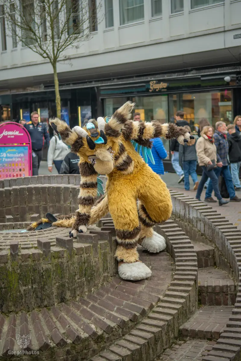 enschedefurwalk_march2026-81-standard.webp