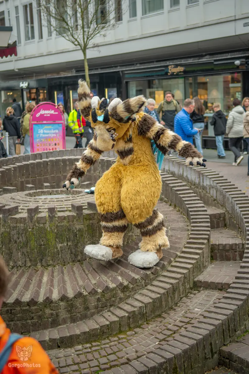 enschedefurwalk_march2026-82-standard.webp
