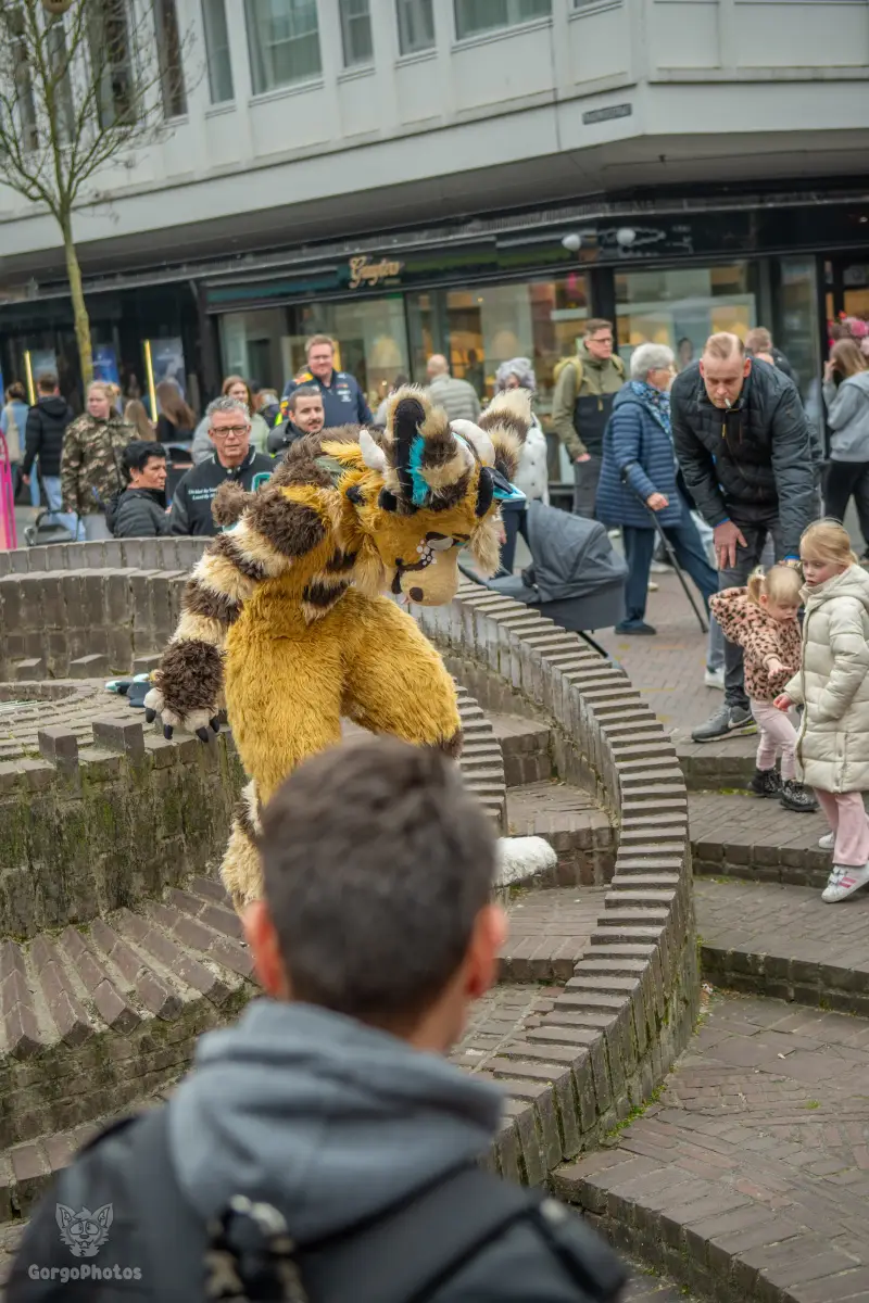 enschedefurwalk_march2026-83-standard.webp