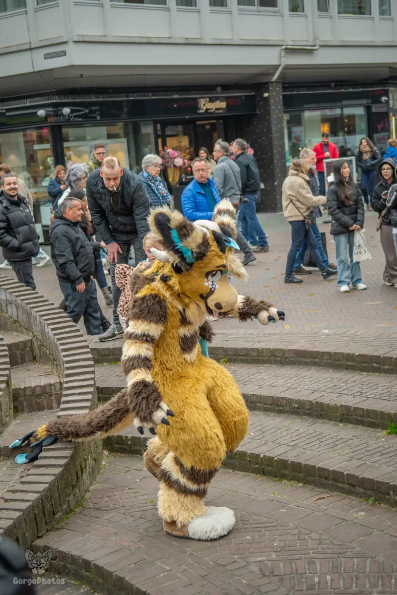 enschedefurwalk_march2026-85-standard.webp