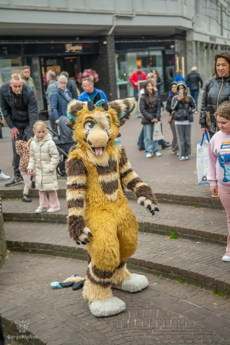 enschedefurwalk_march2026-86-standard.webp