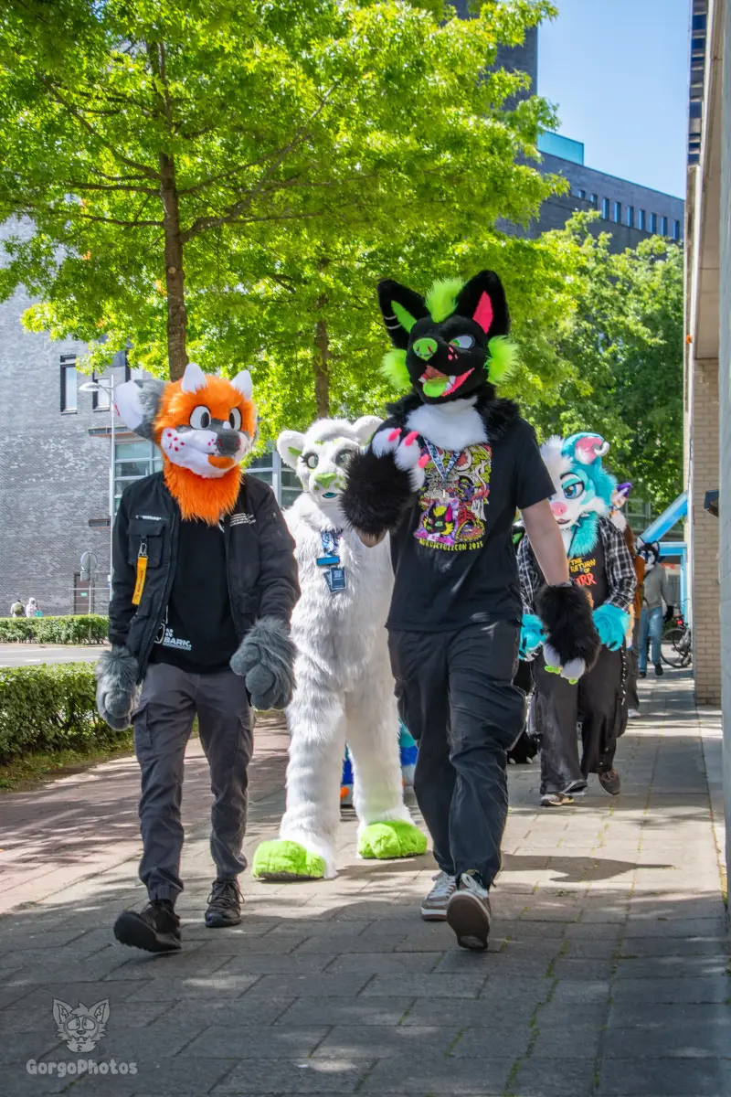ff_amersfoortfurwalk-15-standard.webp