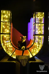 utrecht2024_00178.webp