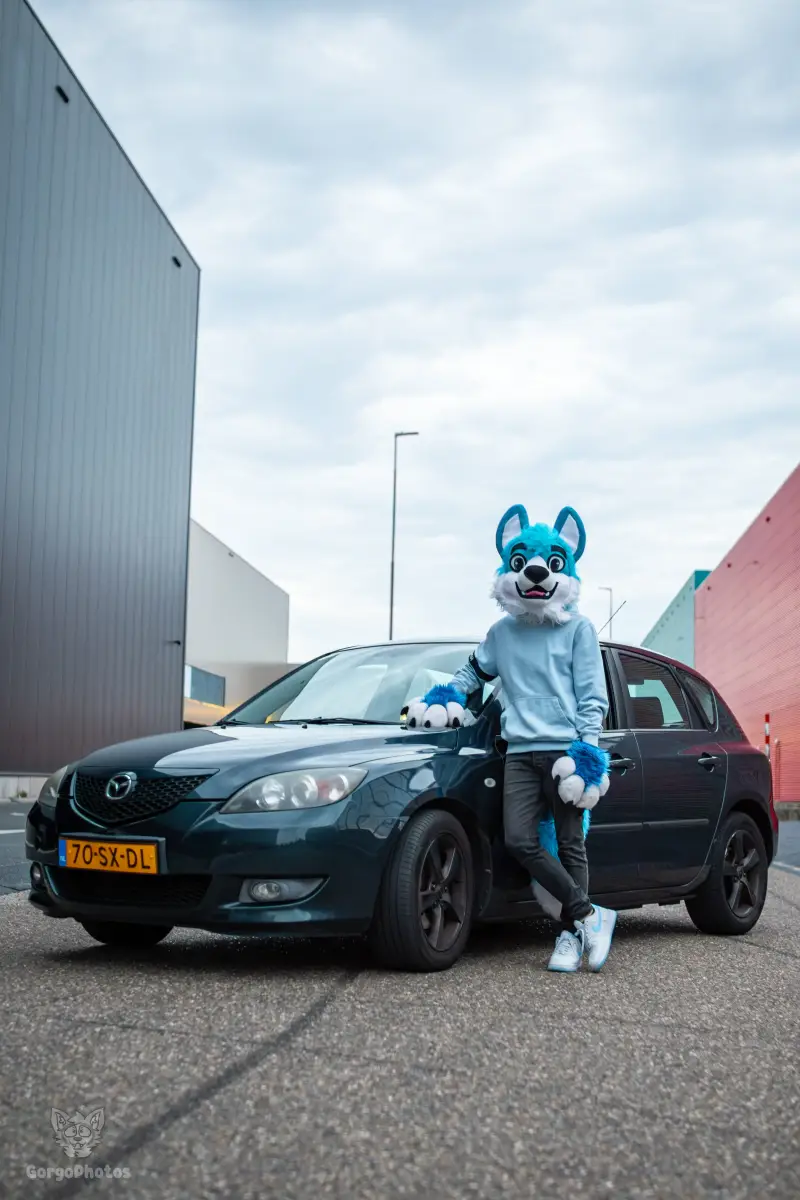 furbluecarphotoshoot-20-standard.webp