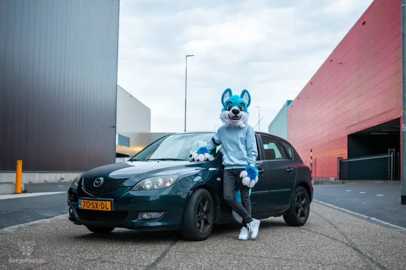 furbluecarphotoshoot-21-standard.webp