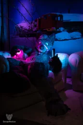 furgroove_2-103-standard.webp