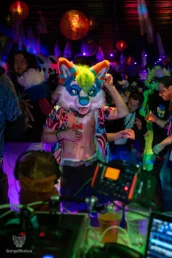 furgroove_2-106-standard.webp