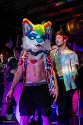 furgroove_2-107-standard.webp