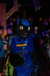 furgroove_2-110-standard.webp