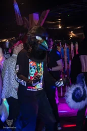 furgroove_2-111-standard.webp