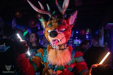 furgroove_2-114-standard.webp